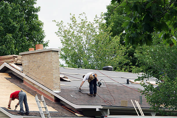 Best Shingle Roofing Installation  in Rden City, GA